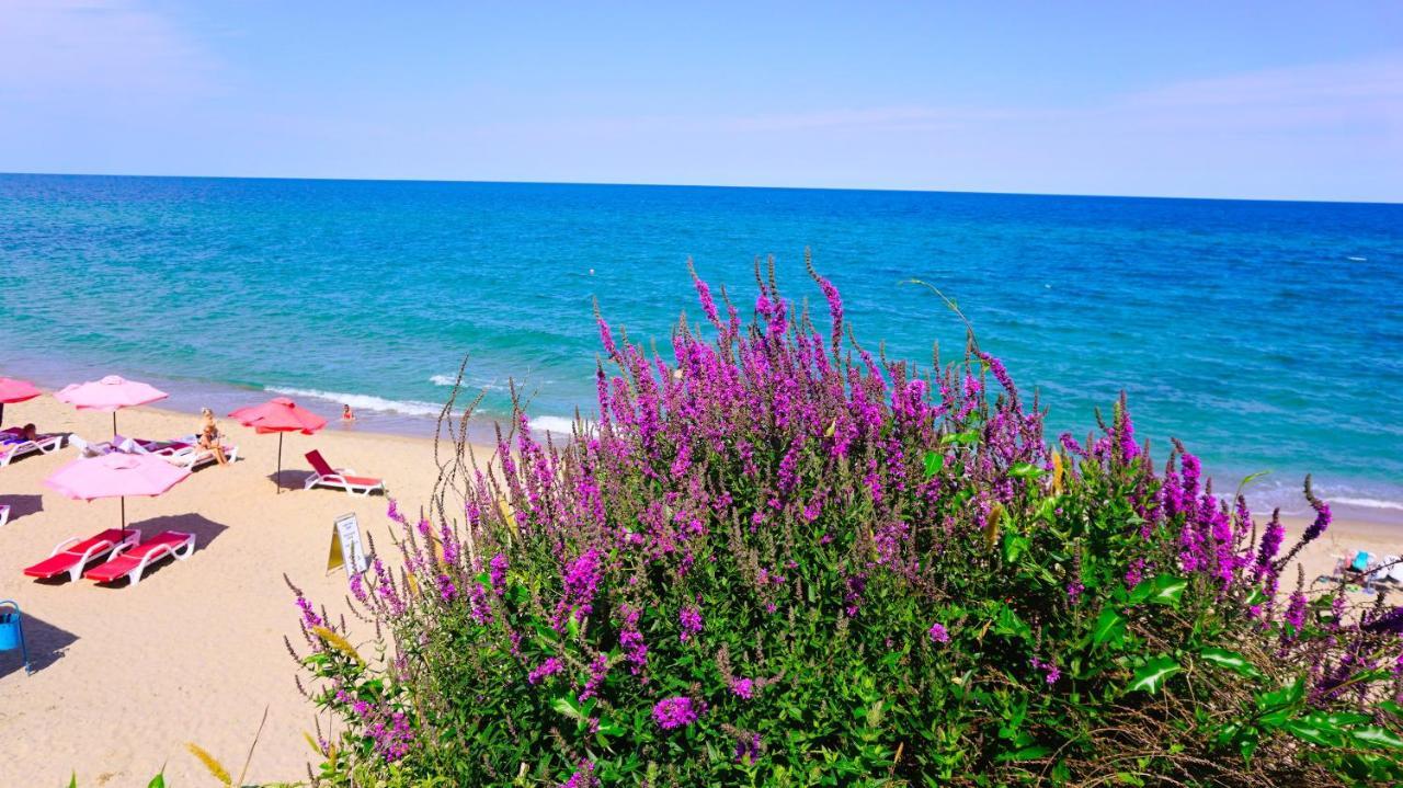 Byala Vista Beach Apartments D - Бяла Виста Бийч Апартментс Д ภายนอก รูปภาพ